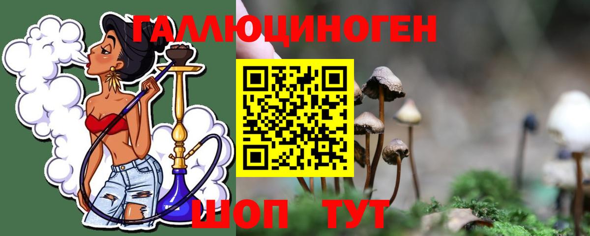 Галлюциногенные грибы Cubensis Ростов Великий